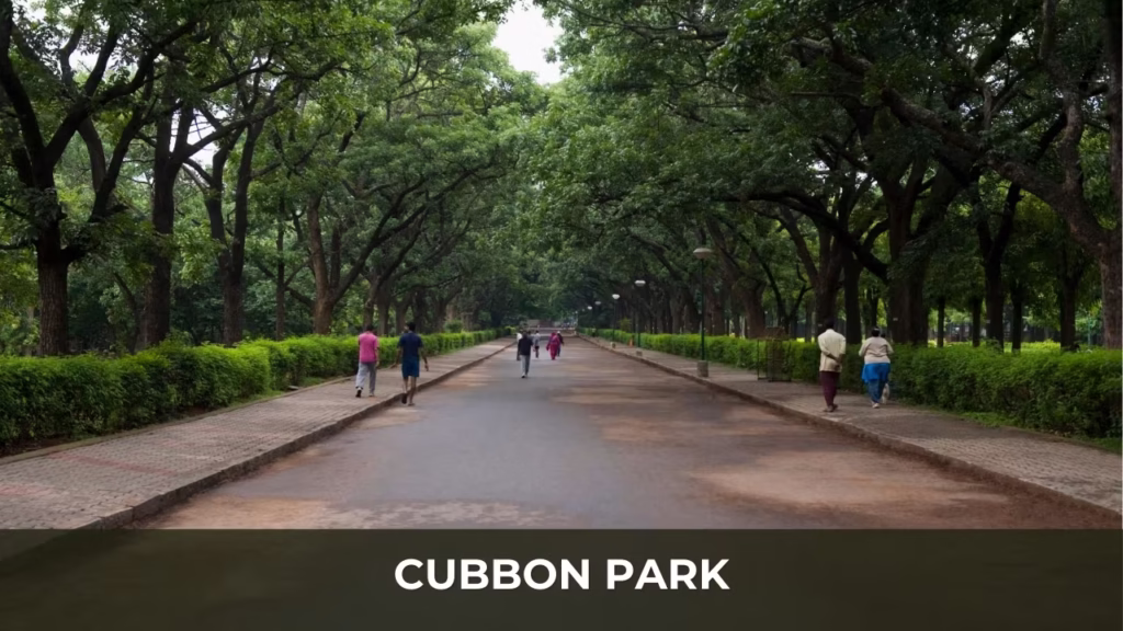 Cubbon Park