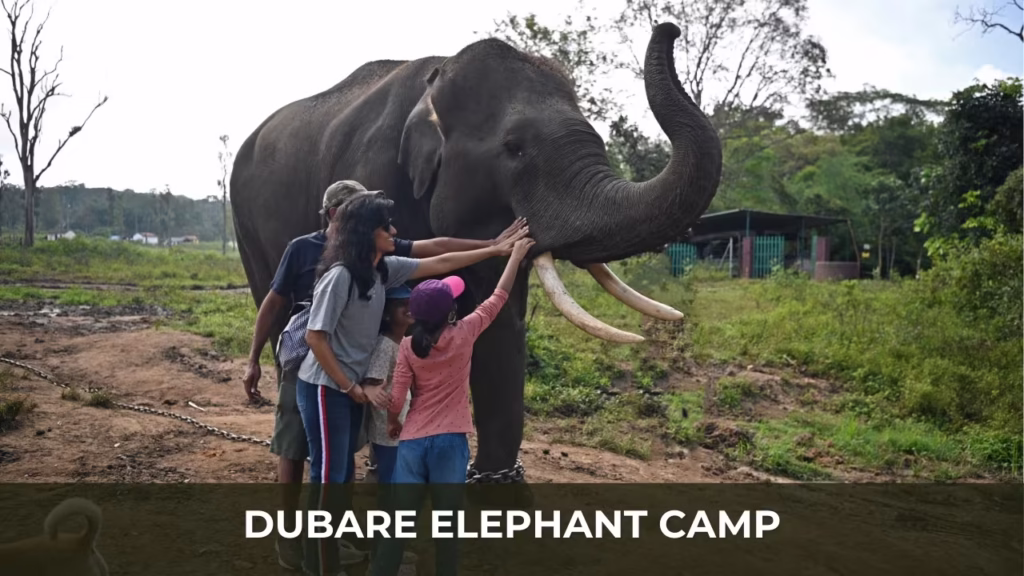 Dubare Elephant Camp