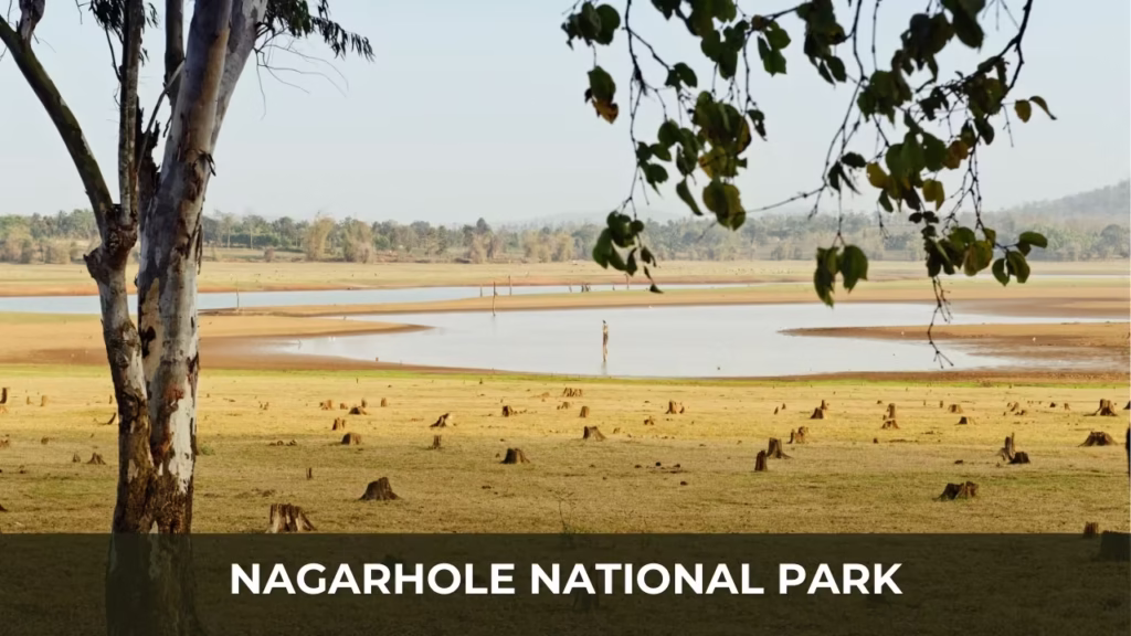 Nagarhole National Park
