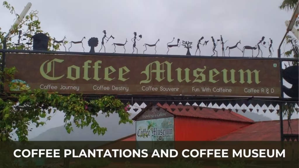 Coffee Plantations and Coffee Museum