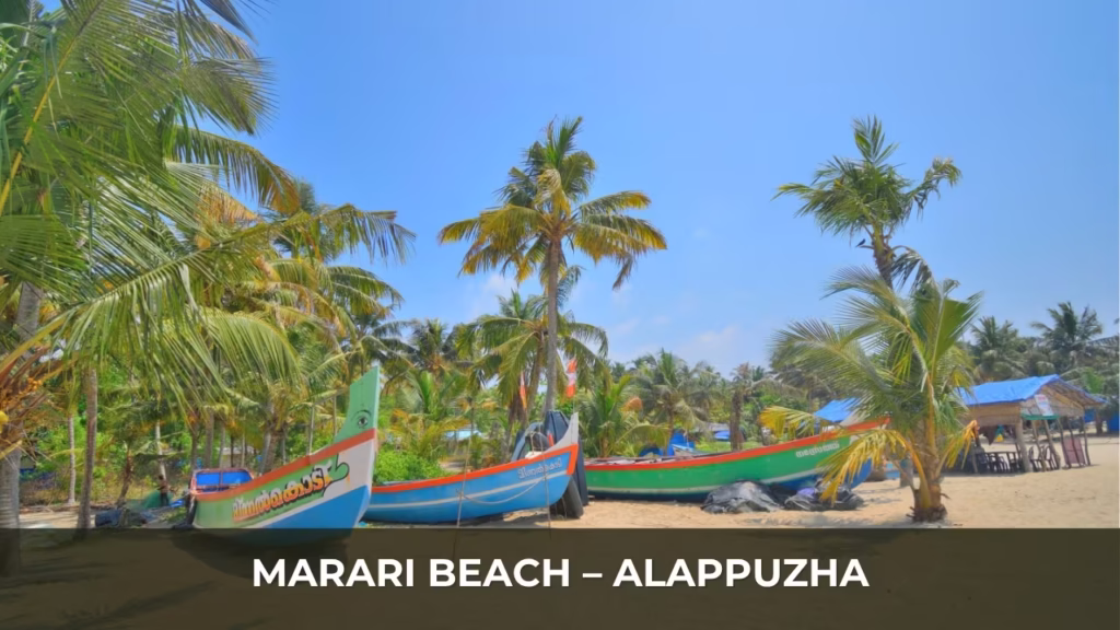 Marari Beach – Alappuzha