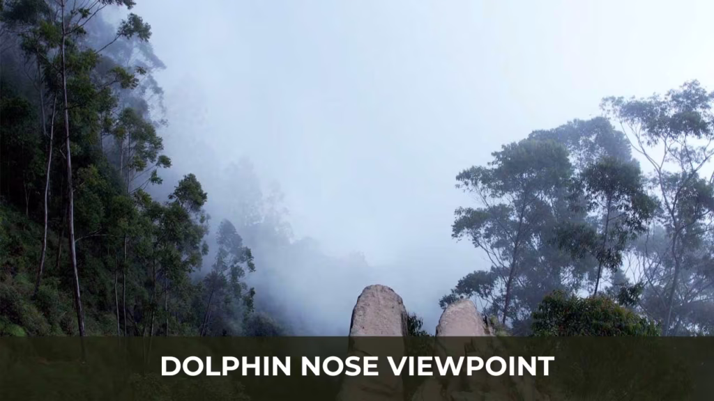 Dolphin Nose Viewpoint