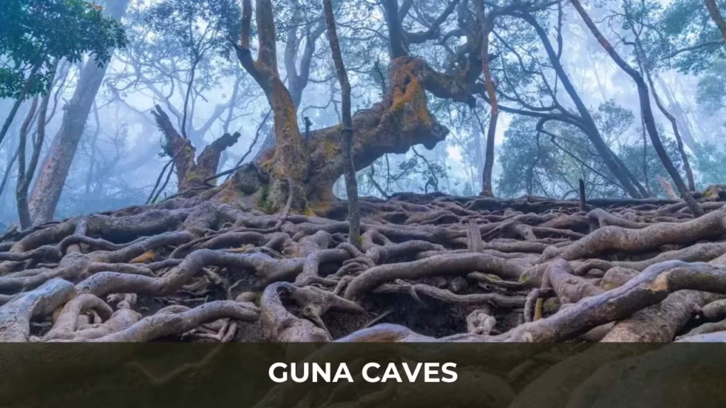 Guna Caves
