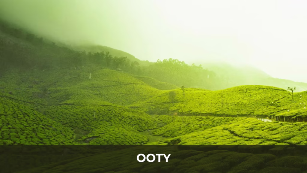 Ooty
