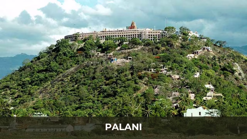Palani