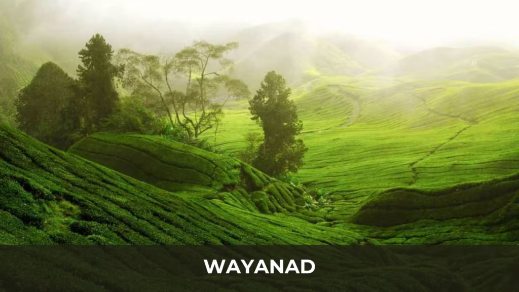 Wayanad