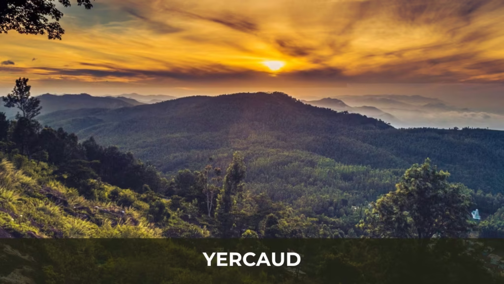 Yercaud