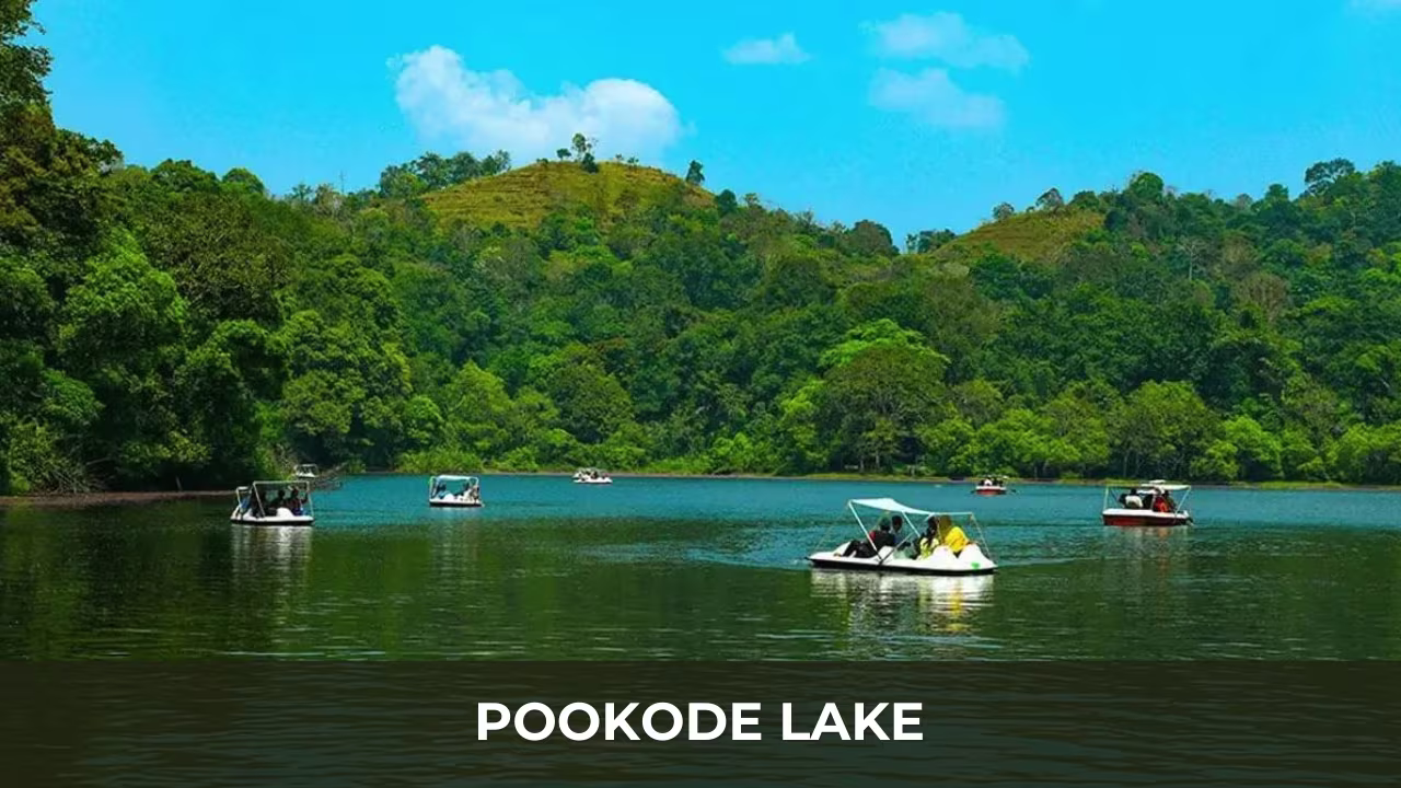Pookode Lake