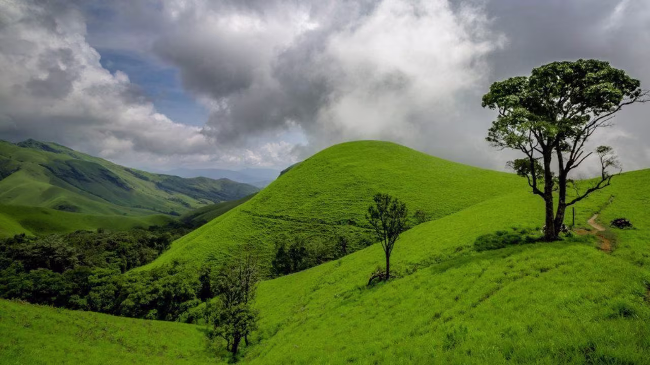 Top Hill Stations in South India To Visit in Summer