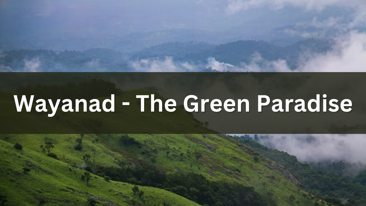 Top Wayanad Tourist Places to Visit